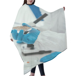 Personality  Cropped View Of Biochemist Holding Petri Dish With Gravel Near Colleague Hair Cutting Cape