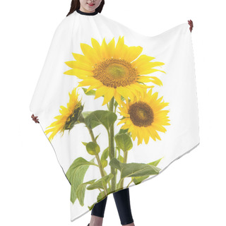 Personality  Sunflower Isolated Hair Cutting Cape