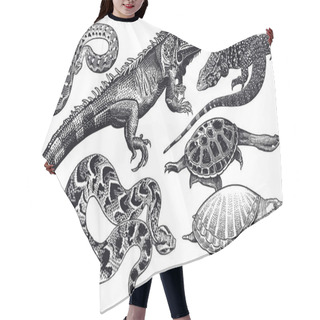 Personality  Lizards, Snakes And Turtles Set. Isolated Black Sketch On White  Hair Cutting Cape