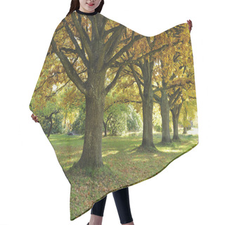 Personality  Beech Forest In Golden Foliage Hair Cutting Cape