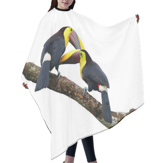 Personality  Toucans Sitting On Branch   Hair Cutting Cape