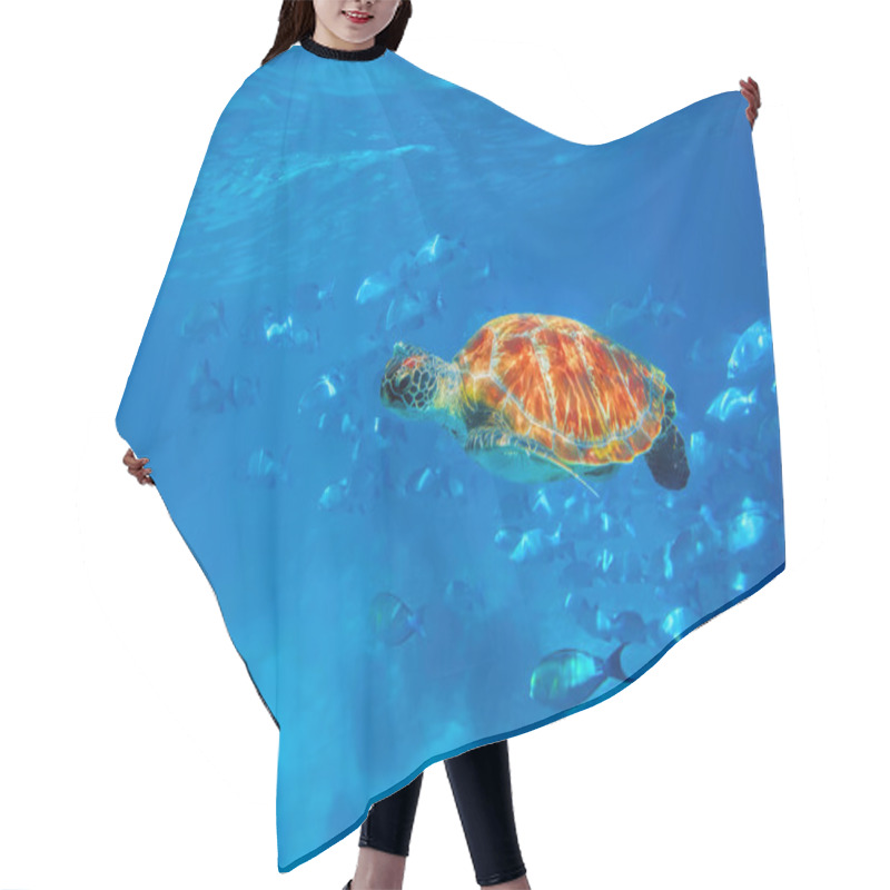 Personality  Hawksbill Turtle Hair Cutting Cape