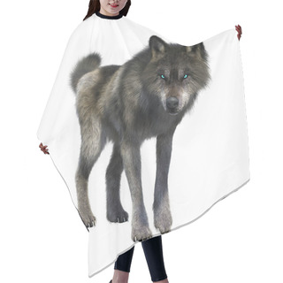 Personality  3D Rendering Gray Wolf On White Hair Cutting Cape