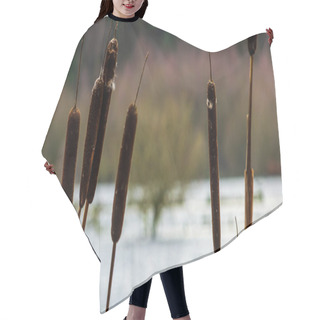Personality  Autumn Landscape With Reeds, Nature Background With Dry Reed Grass Hair Cutting Cape
