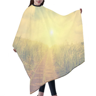 Personality  Pathway On Picturesque Meadow Hair Cutting Cape