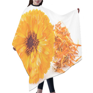 Personality  Calendula Flowers On The White Background. Hair Cutting Cape