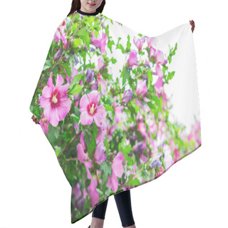 Personality  The Bloom Of The Apple Tree. Paradise Apples Close-up Hair Cutting Cape