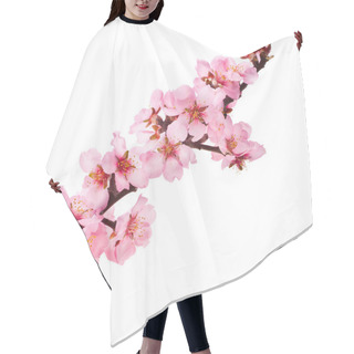 Personality  Almond Tree Pink Flowers Hair Cutting Cape