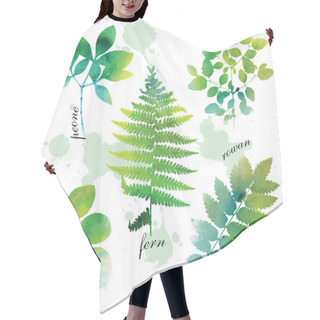 Personality  Set Of Beautiful Watercolor Green Leaves On White Background. Hair Cutting Cape