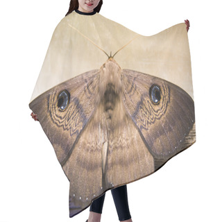 Personality  Moth Hair Cutting Cape