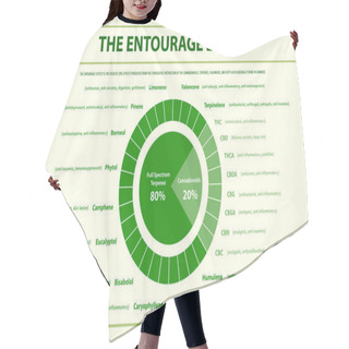 Personality  The Entourage Effect Proportion Horizontal Infographic Illustration About Cannabis As Herbal Alternative Medicine And Chemical Therapy, Healthcare And Medical Science Vector. Hair Cutting Cape