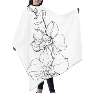 Personality  Beautiful Orchid Flowers. Black And White Engraved Ink Art. Isolated Orchids Illustration Element On White Background. Hair Cutting Cape