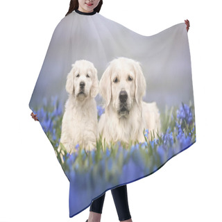 Personality  Golden Retriever Dog And Her Puppy Posing On A Field Of Blue Flowers Outdoors In Spring Hair Cutting Cape