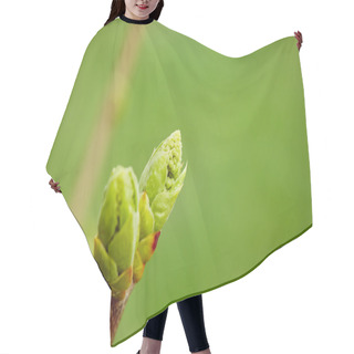 Personality  First Spring Buds Hair Cutting Cape