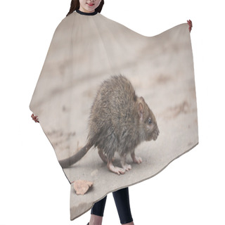 Personality  Gray Rat Hair Cutting Cape