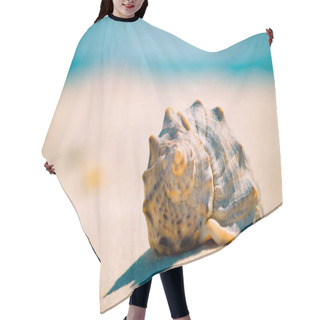 Personality  Sea Shell On A Sandy Beach At Blur Background With Copy Space For Text, Closeup. Hair Cutting Cape