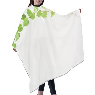 Personality  Top View Of Hop Plant Twig With Green Leaves Isolated On White With Copy Space  Hair Cutting Cape