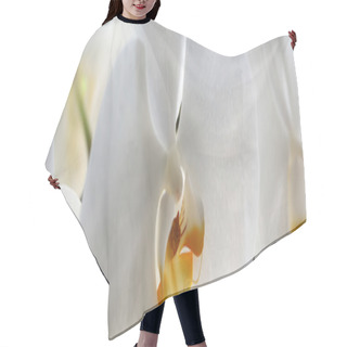 Personality  Panoramic Image Of Splendid Orchid Hair Cutting Cape