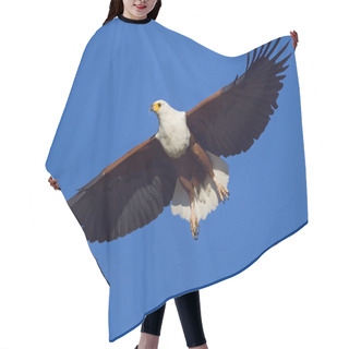 Personality  Fish Eagle Hair Cutting Cape