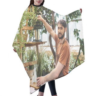 Personality  Happy Bearded Gardener In Linen Apron Holding Vintage Lamp Near Rack With Plants In Greenhouse Hair Cutting Cape