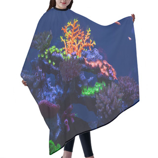 Personality  Multicolored Corals Under Water Hair Cutting Cape