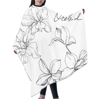 Personality  Beautiful Black And White Orchid Flowers Engraved Ink Art. Isolated Orchids Illustration Element On White Background. Hair Cutting Cape