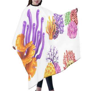 Personality  Different Kinds Of Coral Reef Hair Cutting Cape