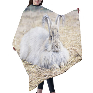 Personality  ANGORA RABBIT ON A STRAW Hair Cutting Cape