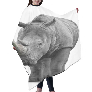 Personality  Rhino Isolated On White Hair Cutting Cape