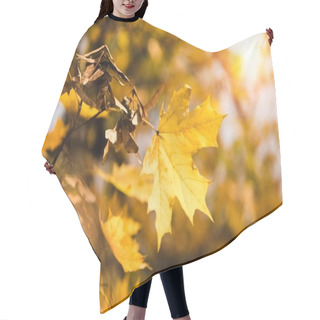 Personality  Yellow Maple Leaves Hair Cutting Cape