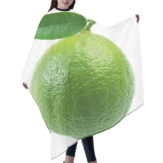 Personality  Lime With Leaf. Hair Cutting Cape