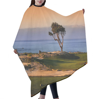 Personality  A  Lone Monterey Cypress In A Golf Course At The 17-Mile Drive, California, USA Hair Cutting Cape