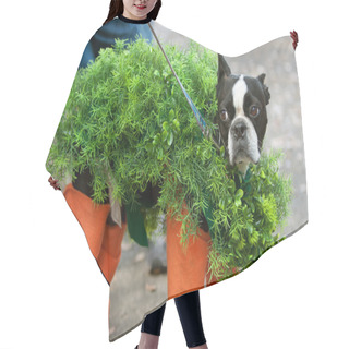 Personality  Dog Dressed In Chia Pet Costume For Halloween Hair Cutting Cape