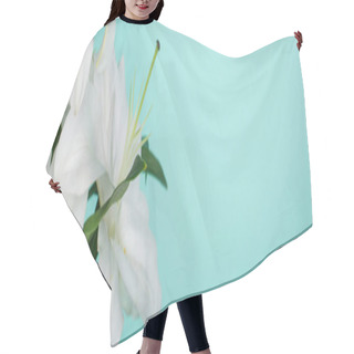Personality  White Lilies With Green Leaves Isolated On Turquoise, Panoramic Shot Hair Cutting Cape