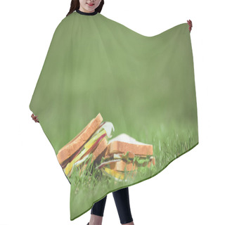 Personality  Closeup Shot Of Two Sandwiches On Green Grass  Hair Cutting Cape