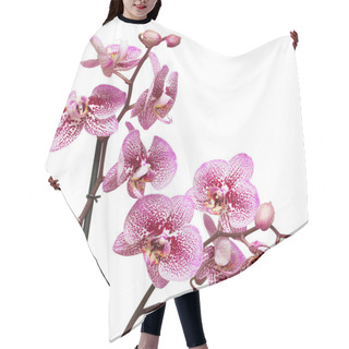 Personality  Branches Of Orchid Flowers Hair Cutting Cape