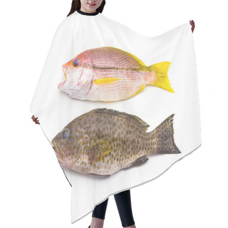 Personality  Red Snapper Fish And  Areolate Grouper (epinephelus Areolatus) F Hair Cutting Cape