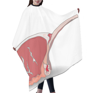 Personality  Lamb Chops Hair Cutting Cape