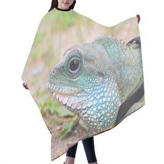 Personality  Water Dragon Iguana Reptile Head Close Up Hair Cutting Cape