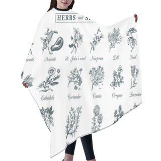 Personality  Herbs And Spices Set Hair Cutting Cape