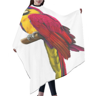 Personality  Colorful Parrot Macaw  Hair Cutting Cape