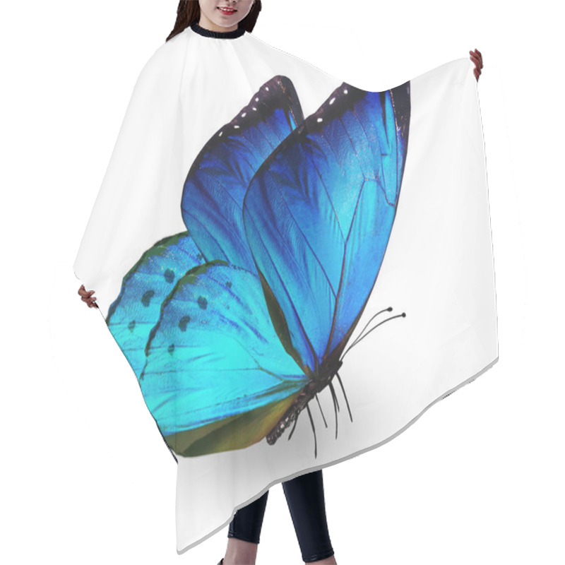 Personality  Blue Butterfly , Isolated On White Hair Cutting Cape