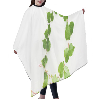 Personality  Panoramic Shot Of Hop Plant Twig With Green Leaves Isolated On White Hair Cutting Cape
