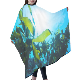 Personality  Forest Of Seaweed Hair Cutting Cape