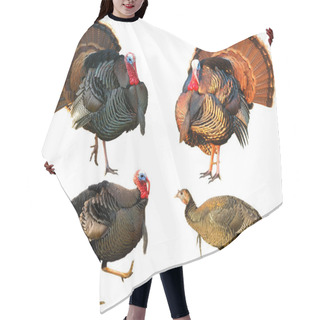 Personality  Several Turkey Toms Strutting Hair Cutting Cape