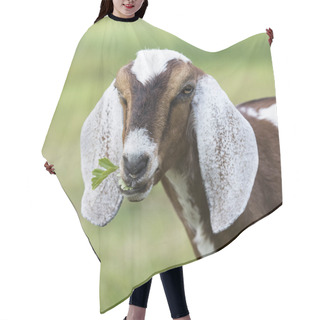 Personality  Goat  In Green Grass Hair Cutting Cape