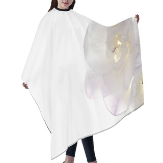 Personality  Trumpet Flower On White Gradient Background, Hair Cutting Cape