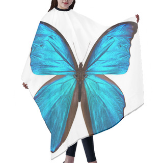 Personality  Beautiful Butterfly Isolated On White Hair Cutting Cape
