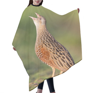 Personality  Bird A Corn Crake Sings On A Meadow Hair Cutting Cape