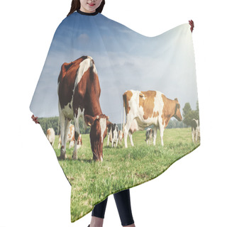 Personality  Herd Of Cows At Summer Green Field Hair Cutting Cape